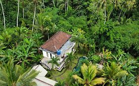 Junjungan Guest House New Brand